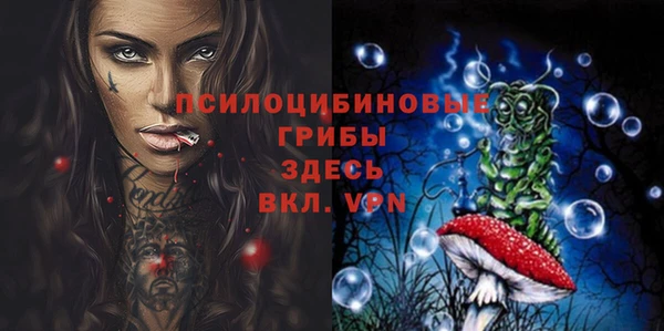 ГАЛЛЮЦИНОГЕННЫЕ ГРИБЫ Абдулино